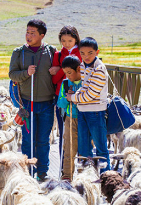 Ballad from Tibet