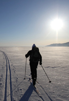 Defi Baikal